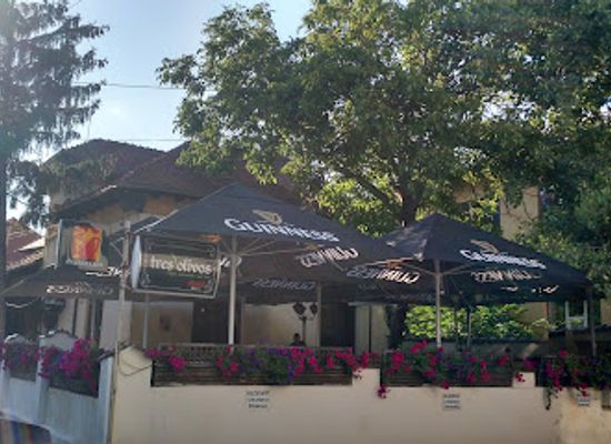 romania/prahova-valley/bar/tres-olivos