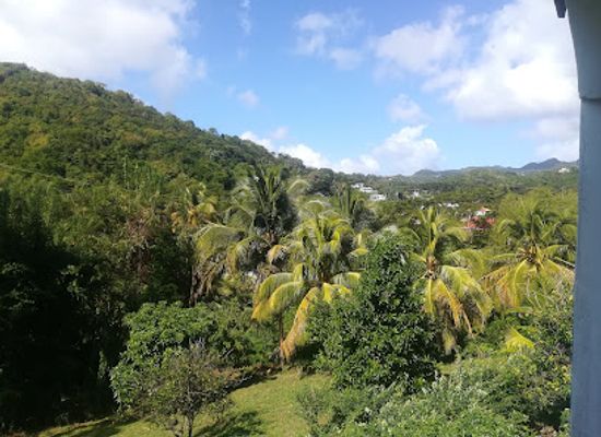 grenada/saint-david/bar/the-basement