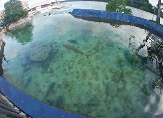 palau/ngardmau-waterfall/bar/palau-aquarium