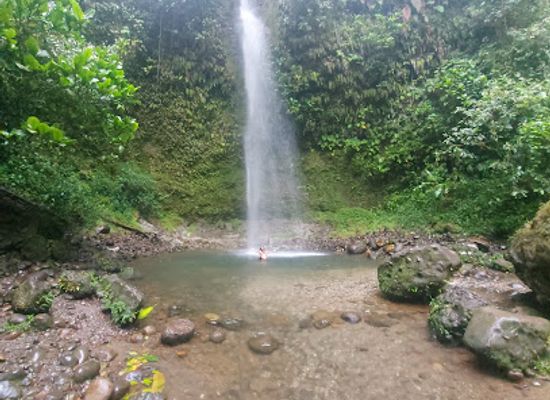 ecuador/pastaza-region/bar/cascada-hola-vida