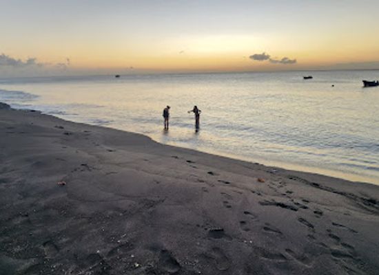dominica/batalie-beach/bar/the-lot-bar-and-grill