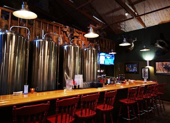 michigan/the-thumb/bar/tahquamenon-falls-brewery-pub