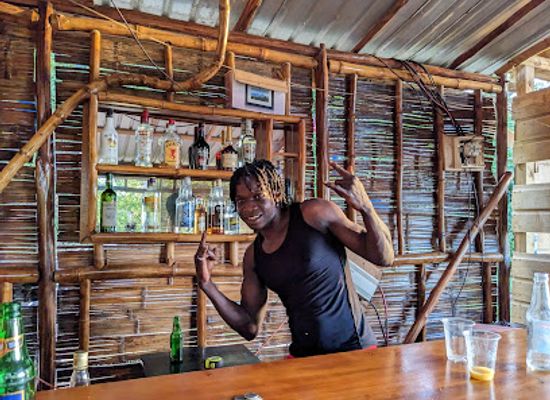 saint-vincent-and-the-grenadines/georgetown/bar/treehouse-bushbar
