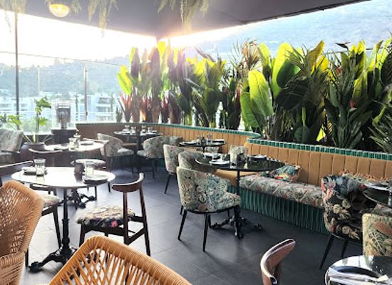 chile/norte-chico/bar/ceiba-bar-rooftop
