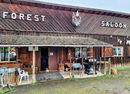 idaho/snake-river-canyon/bar/forest-bar