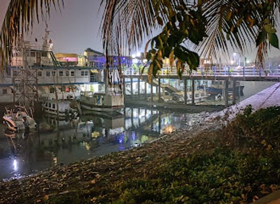 bangladesh/sundarbans/bar/mary-anderson-floating-restaurant-bar