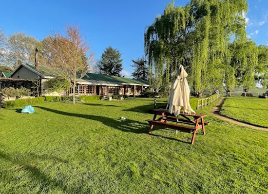 south-africa/drakensberg/bar/the-olde-duck