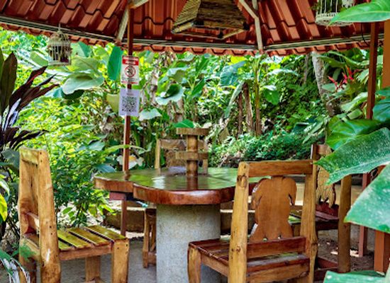 costa-rica/osa-peninsula/bar/casa-el-tortugo-drakes-kitchen