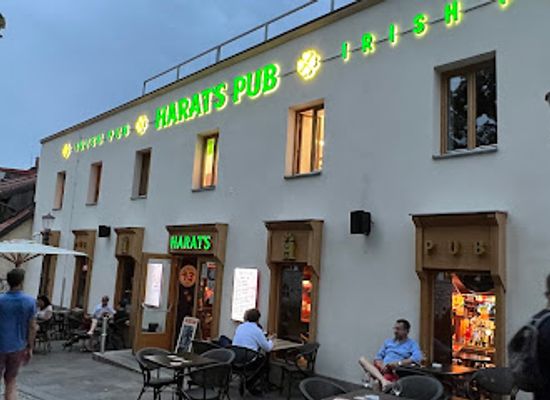 slovenia/lower-carniola/bar/pub-crawl-ljubljana