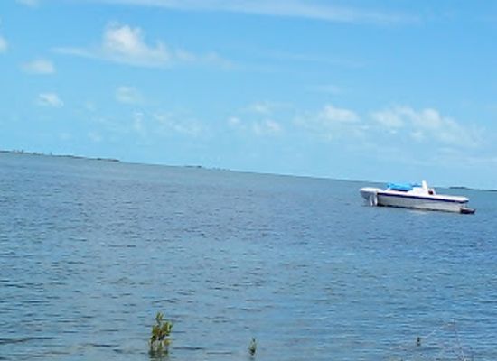 the-bahamas/andros-town/bar/fynn-breeze-restaurant-bar