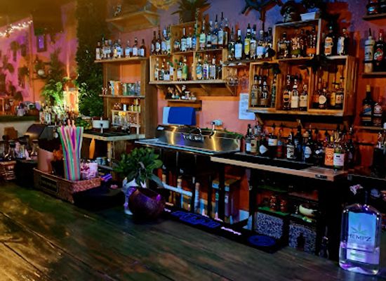 florida/juniper-springs-recreation-area/bar/the-tipsy-skipper