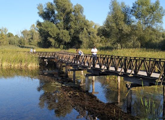croatia/kopacki-rit-nature-park/bar/cafe-bar-lopoc