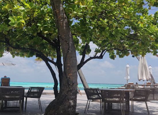 maldives/meemu-atoll/bar/kuredi-bar