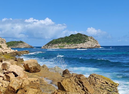 antigua-and-barbuda/hell-s-gate/bar/beach-bum-bar-cafe