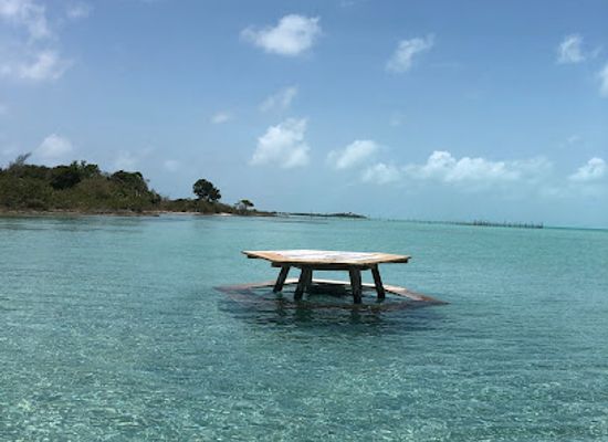 belize/mountain-pine-ridge/bar/blue-bayou