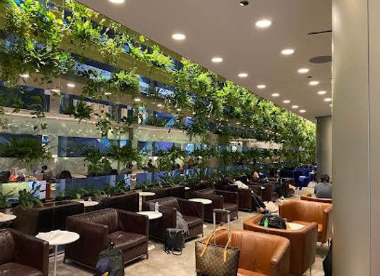 qatar/al-thakira-mangroves/bar/al-maha-lounge