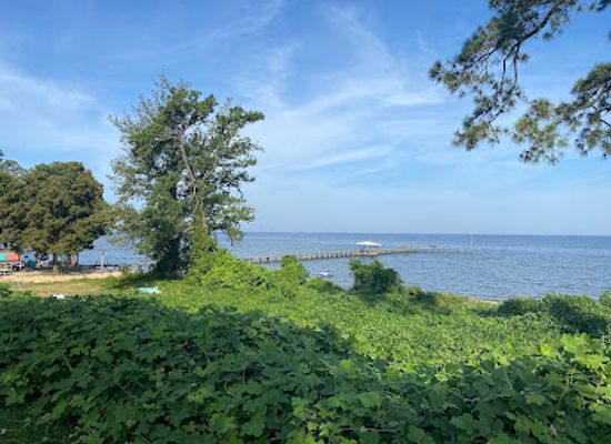 alabama/fairhope/bar/vfw-tiki-bar