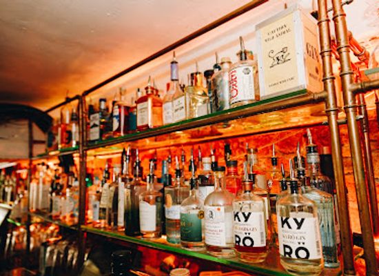 denmark/copenhagen/indre-by/bar/the-bird-and-the-churchkey