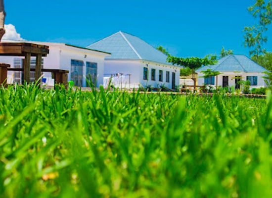 malawi/lake-malawi/bar/kaliba-beach-resort