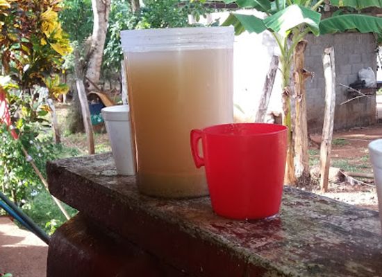 panama/ngabe-bugle-comarca/bar/bar-las-americas-tole