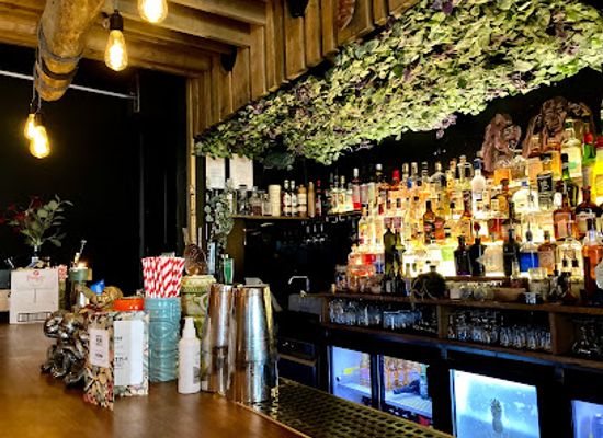 norway/vestlandet/bar/last-monkey