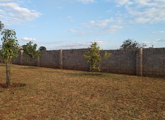 zambia/muchinga-province/bar/liberty-cafe