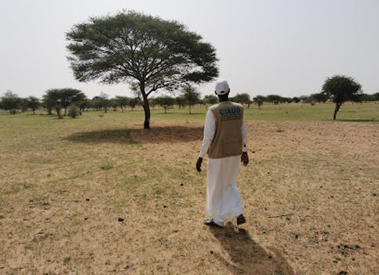 chad/batha/bar/le-chari-bar-resto-iriba-chad