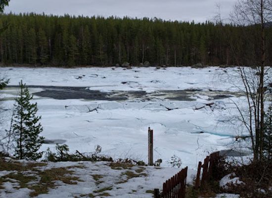 norway/trysil/bar/langflons-granskrog-hb