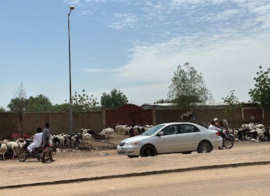 chad/hadjer-lamis/bar/diguel
