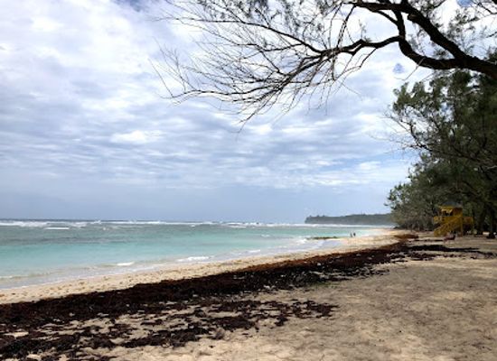 barbados/bathsheba/bar/eastcoast-beach-house-getaway