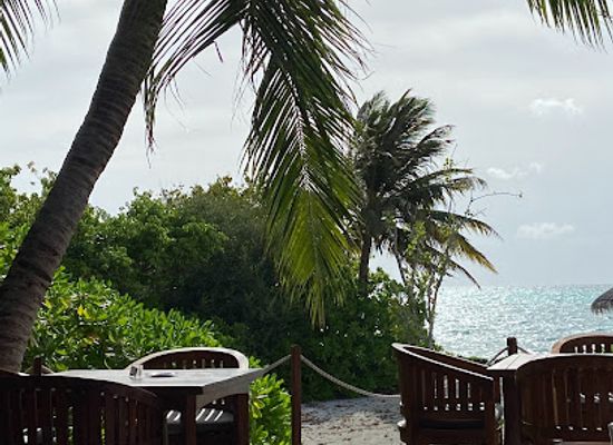 maldives/haa-alif-atoll/bar/veli
