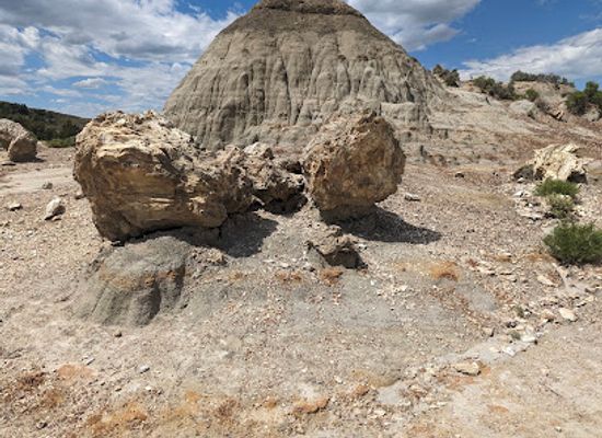 north-dakota/theodore-roosevelt-national-park/bar/petrified-forest-loop