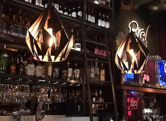 netherlands/amersfoort/bar/brel