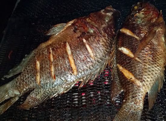 zimbabwe/mana-pools-national-park/bar/lake-harvest-shop-bar-and-grill