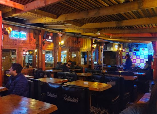chile/araucania-region/bar/patiperro