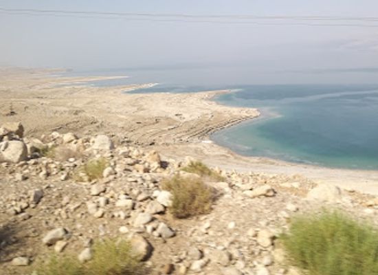 israel/ein-gedi/bar/kapeh-tamar