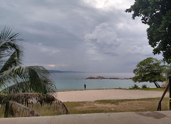 jamaica/yallahs-valley/bar/woodstock-bar-and-grill