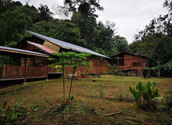 malaysia/sarawak/bar/nanga-sumpa-lodge