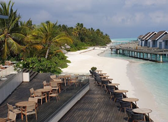 maldives/ari-atoll/bar/pool-bar