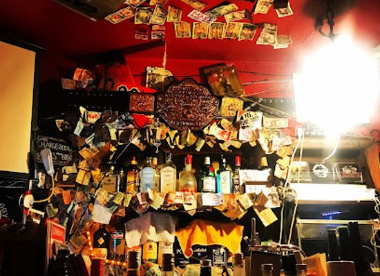 japan/tokyo/shinjuku/bar/hair-of-the-dogs