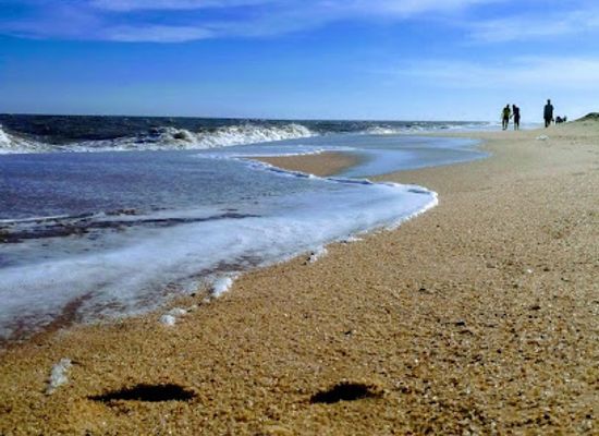 mozambique/quirimbas-archipelago/bar/beira-bar