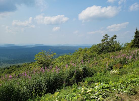 west-virginia/spruce-knob/bar/spruce-knob