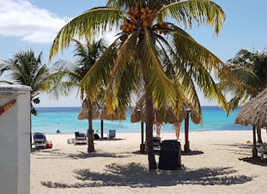 curacao/mahaai/bar/daaibooi-beach-bar