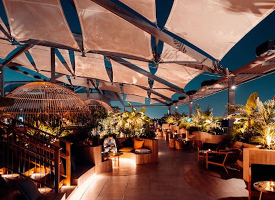 united-arab-emirates/northern-emirates/bar/monkey-bar-dubai