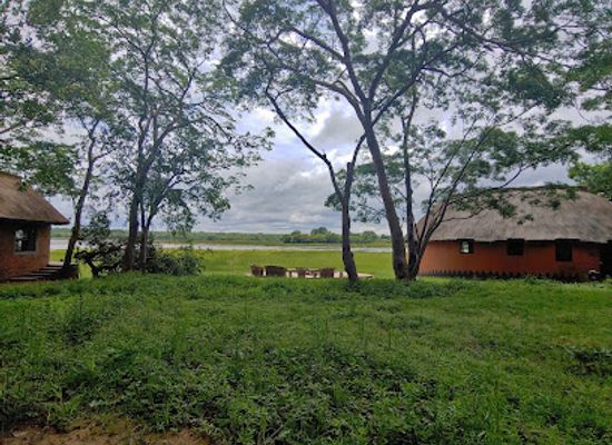 zambia/kasanka-national-park/bar/wasa-lodge