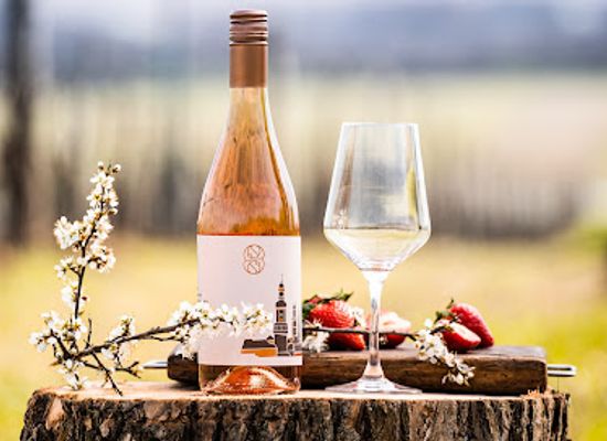 hungary/sopron-wine-region/bar/stubenvoll-pince