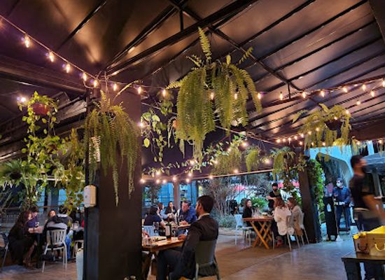 brazil/planalto-central/bar/ivv-swinebar