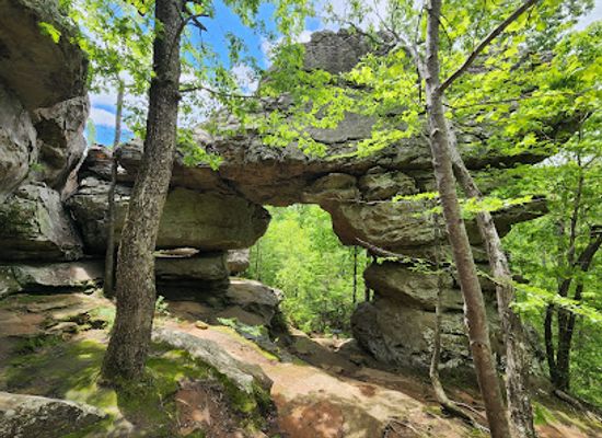 arkansas/petit-jean-state-park/bar/seven-hollows-trailhead
