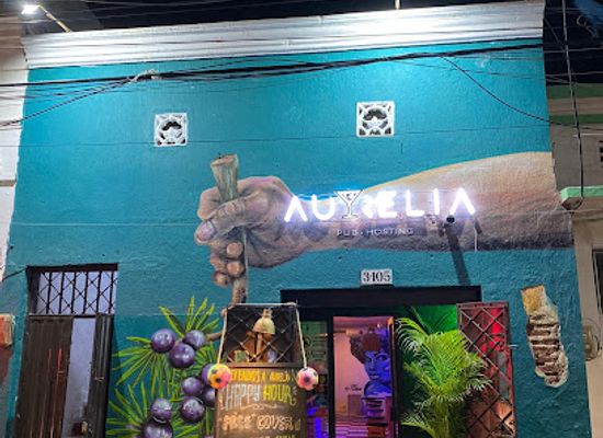 colombia/magdalena-river-valley/bar/aurelia-pub-hosting
