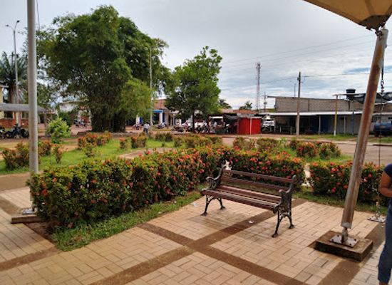 colombia/vichada-department/bar/la-grama-bar